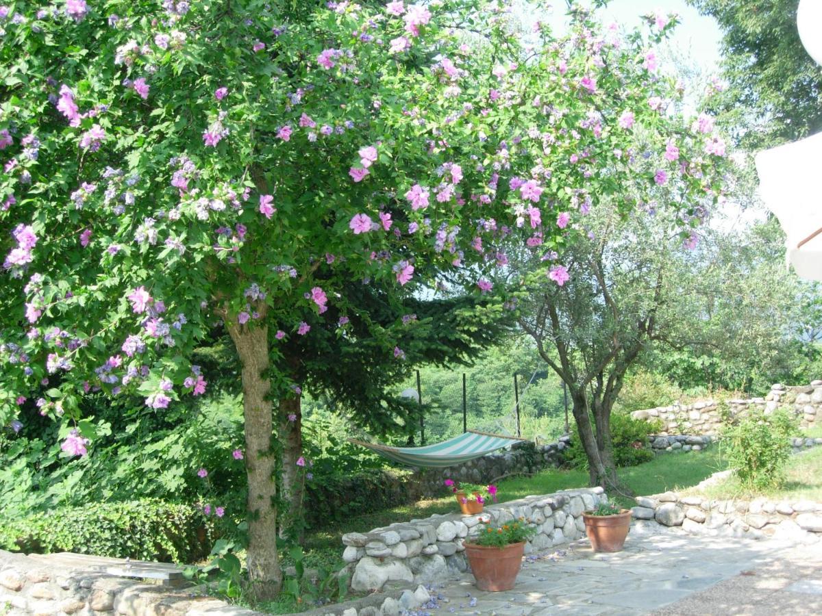 Villa Anthemia Naousa  Exterior photo