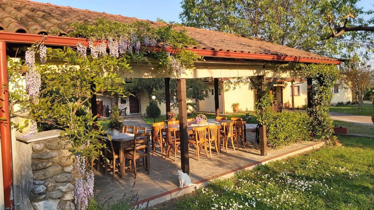 Villa Anthemia Naousa  Exterior photo